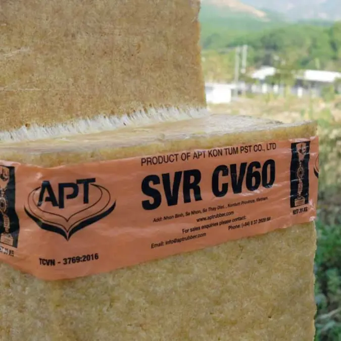 SVR CV60 (TSR CV60)