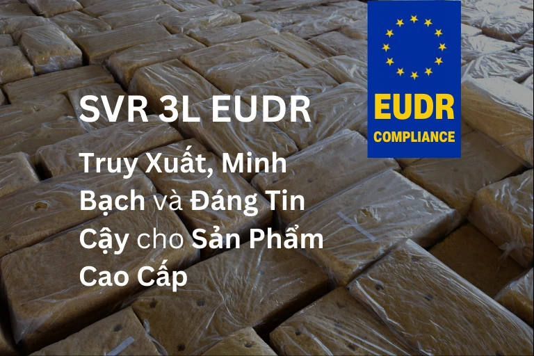 Cao su SVR 3L EUDR Truy Xuất Nguồn Gốc Minh Bạch